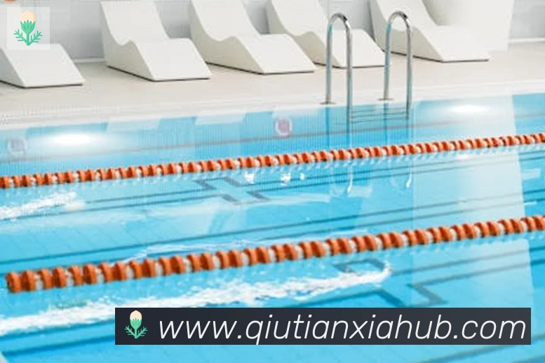 球天下体育平台生态图