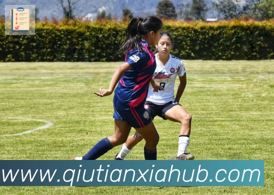 球天下体育荣誉