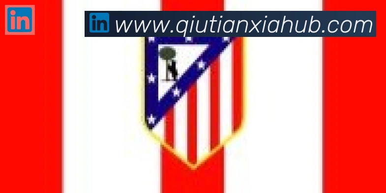 球天下体育合作伙伴