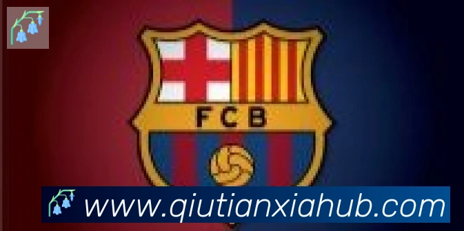 球天下体育合作伙伴