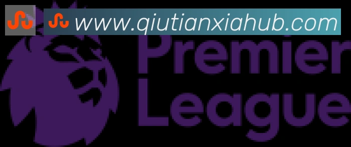 球天下体育合作伙伴